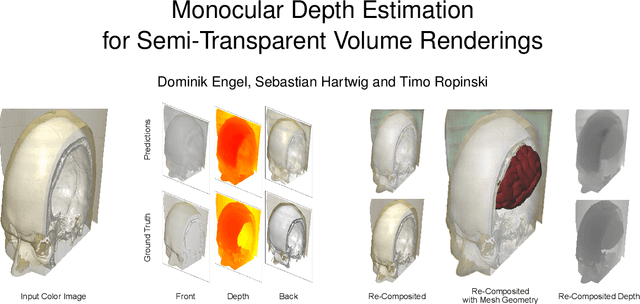 Figure 1 for Monocular Depth Estimation for Semi-Transparent Volume Renderings