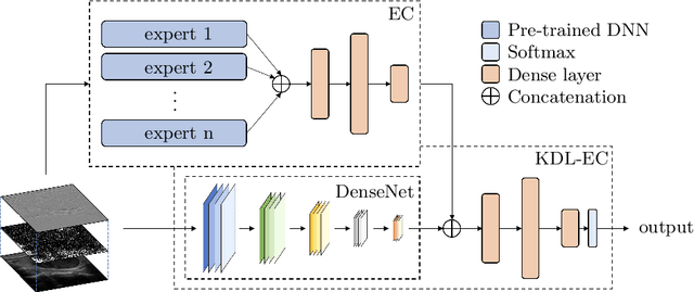 Figure 1 for Knowledge-Driven Learning via Experts Consult for Thyroid Nodule Classification