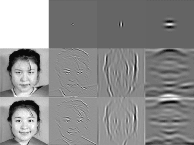 Figure 1 for Coding Facial Expressions with Gabor Wavelets (IVC Special Issue)