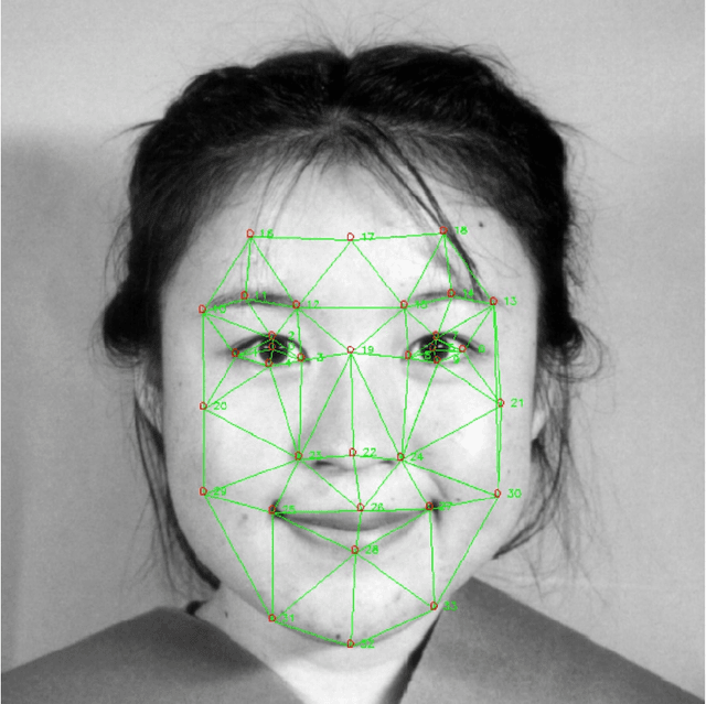 Figure 3 for Coding Facial Expressions with Gabor Wavelets (IVC Special Issue)