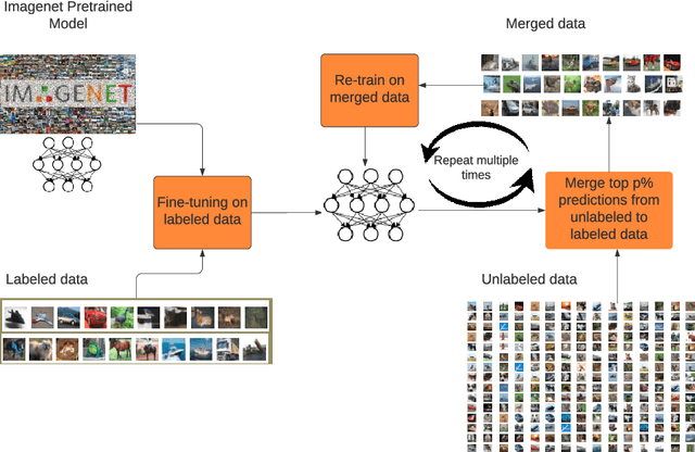Figure 1 for Transfer of Pretrained Model Weights Substantially Improves Semi-Supervised Image Classification