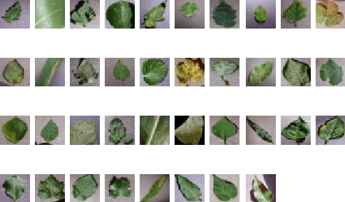 Figure 4 for Transfer of Pretrained Model Weights Substantially Improves Semi-Supervised Image Classification