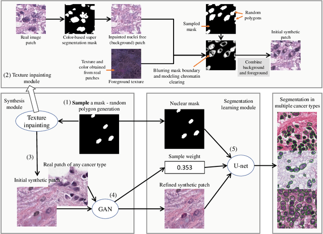 Figure 3 for Dataset of Segmented Nuclei in Hematoxylin and Eosin Stained Histopathology Images of 10 Cancer Types