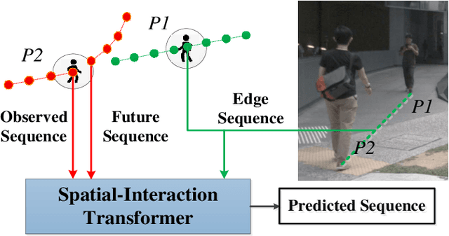 Figure 1 for Pedestrian Trajectory Prediction via Spatial Interaction Transformer Network