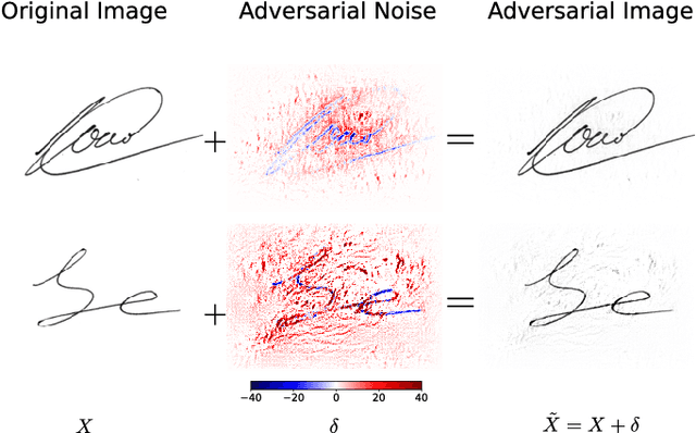 Figure 2 for Characterizing and evaluating adversarial examples for Offline Handwritten Signature Verification