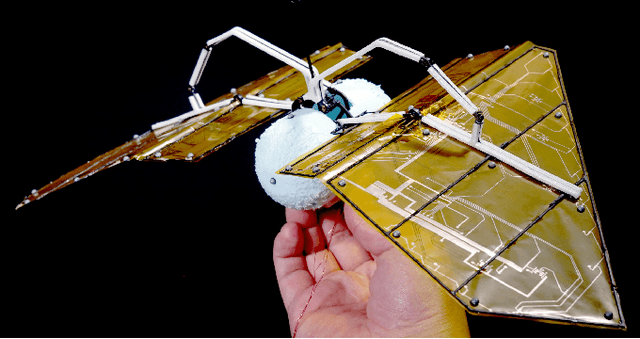 Figure 1 for Unsteady aerodynamic modeling of Aerobat using lifting line theory and Wagner's function