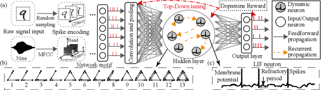 Figure 1 for Motif-topology and Reward-learning improved Spiking Neural Network for Efficient Multi-sensory Integration