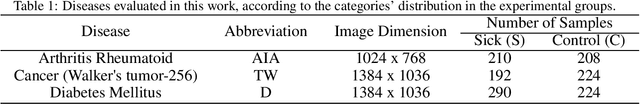 Figure 2 for Automatic Chronic Degenerative Diseases Identification Using Enteric Nervous System Images