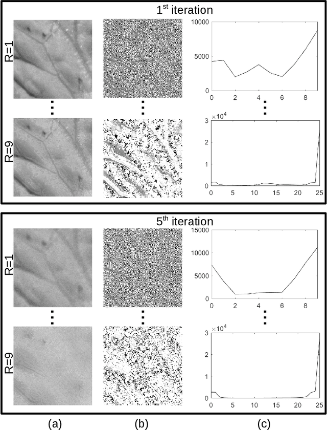 Figure 2 for A cellular automata approach to local patterns for texture recognition