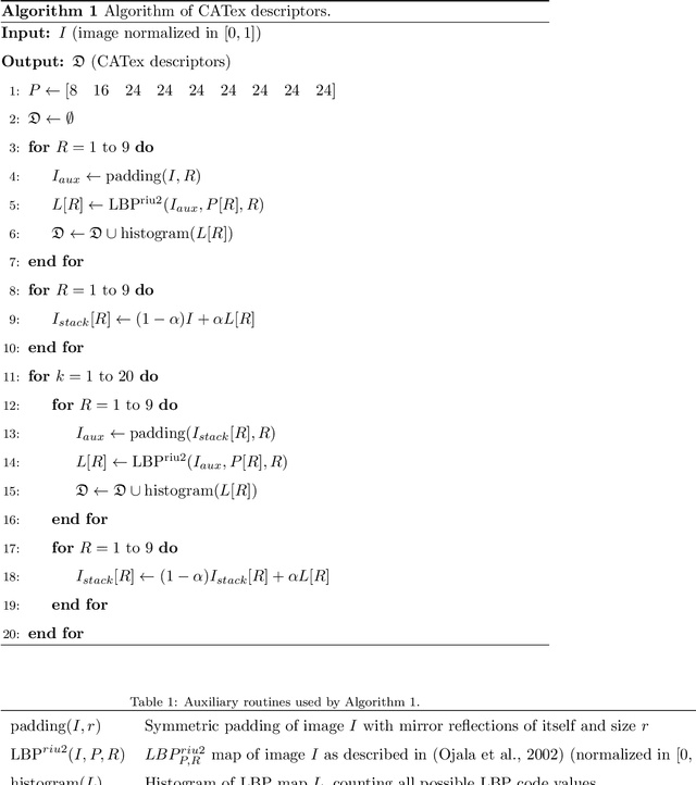 Figure 1 for A cellular automata approach to local patterns for texture recognition