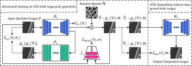 Figure 1 for A Practical Solution for SAR Despeckling with Only Single Speckled Images