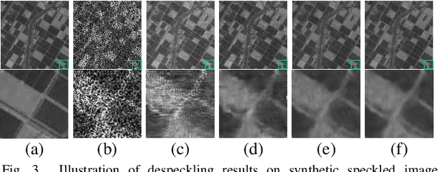Figure 3 for A Practical Solution for SAR Despeckling with Only Single Speckled Images