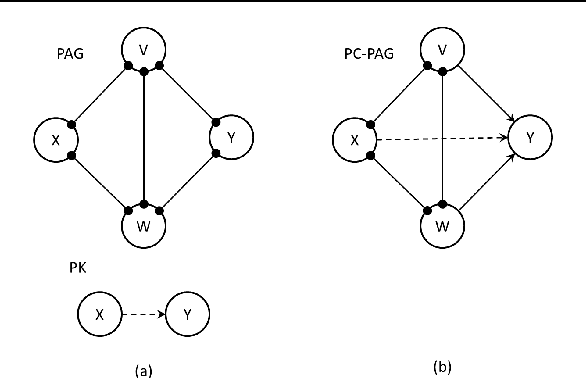 Figure 1 for Incorporating Causal Prior Knowledge as Path-Constraints in Bayesian Networks and Maximal Ancestral Graphs