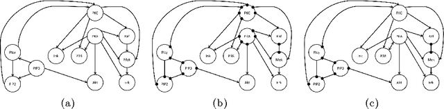 Figure 4 for Incorporating Causal Prior Knowledge as Path-Constraints in Bayesian Networks and Maximal Ancestral Graphs