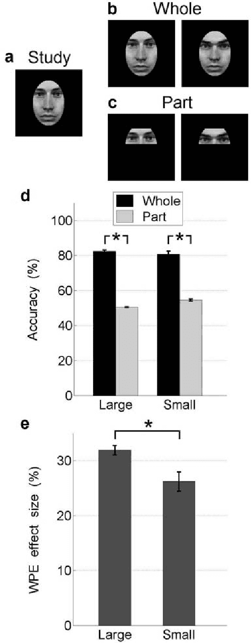 Figure 4 for Neural tuning size is a key factor underlying holistic face processing