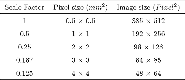 Figure 4 for Texture Classification of MR Images of the Brain in ALS using CoHOG