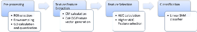 Figure 1 for Texture Classification of MR Images of the Brain in ALS using CoHOG