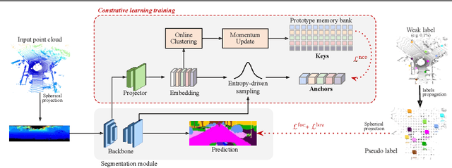 Figure 1 for COARSE3D: Class-Prototypes for Contrastive Learning in Weakly-Supervised 3D Point Cloud Segmentation