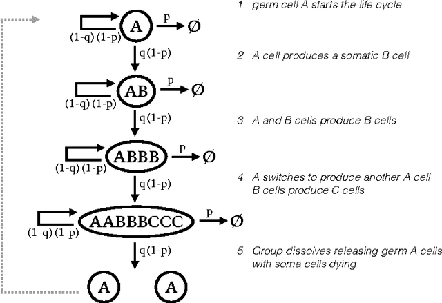 Figure 1 for Optimal high-level descriptions of dynamical systems