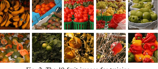 Figure 2 for Tensor Completion via Few-shot Convolutional Sparse Coding