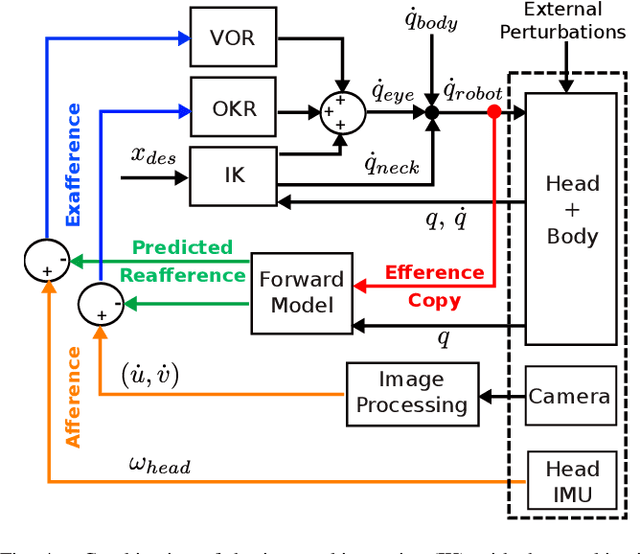 Figure 4 for Multimodal Gaze Stabilization of a Humanoid Robot based on Reafferences