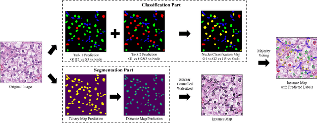Figure 1 for Nuclei Grading of Clear Cell Renal Cell Carcinoma in Histopathological Image by Composite High-Resolution Network
