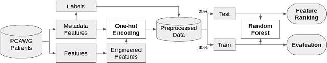 Figure 1 for Random Forest as a Tumour Genetic Marker Extractor