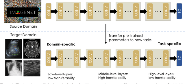Figure 1 for MetaLR: Layer-wise Learning Rate based on Meta-Learning for Adaptively Fine-tuning Medical Pre-trained Models