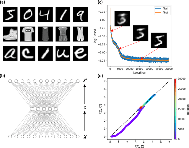 Figure 1 for Compression phase is not necessary for generalization in representation learning