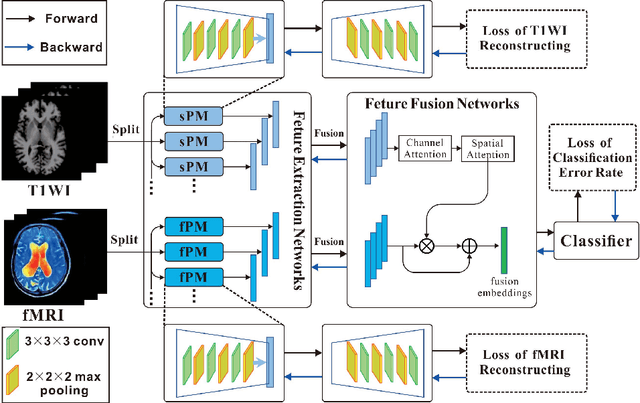 Figure 1 for Multiscale Autoencoder with Structural-Functional Attention Network for Alzheimer's Disease Prediction