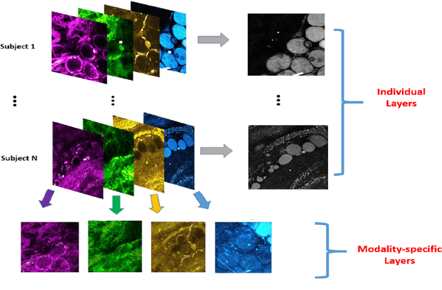 Figure 4 for Individualized Multilayer Tensor Learning with An Application in Imaging Analysis