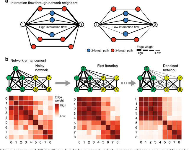 Figure 1 for Network Enhancement: a general method to denoise weighted biological networks