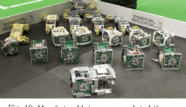 Figure 2 for Heterogeneity for Increasing Performance and Reliability of Self-Reconfigurable Multi-Robot Organisms