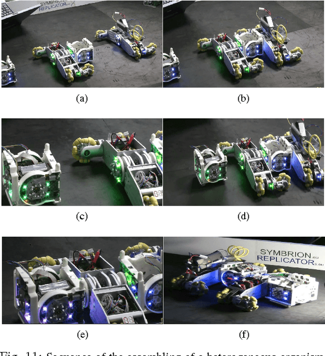 Figure 3 for Heterogeneity for Increasing Performance and Reliability of Self-Reconfigurable Multi-Robot Organisms