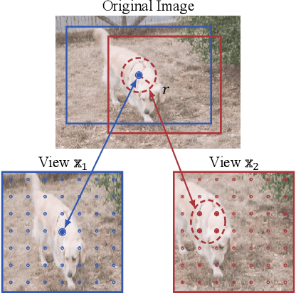 Figure 4 for Semantic-Aware Fine-Grained Correspondence