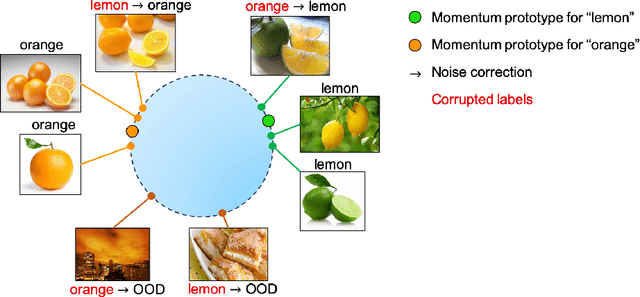 Figure 1 for MoPro: Webly Supervised Learning with Momentum Prototypes