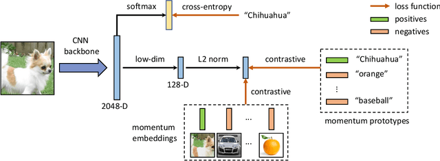 Figure 3 for MoPro: Webly Supervised Learning with Momentum Prototypes