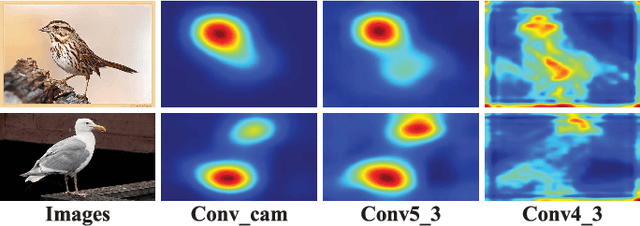 Figure 3 for Fast Fine-grained Image Classification via Weakly Supervised Discriminative Localization