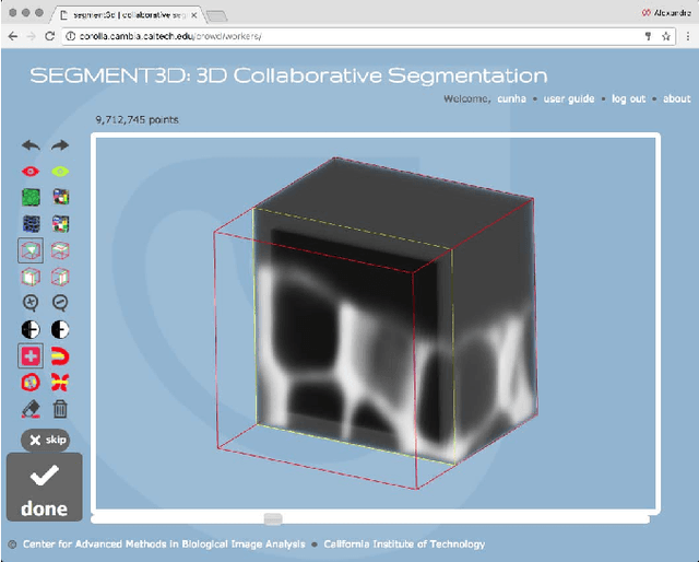 Figure 4 for SEGMENT3D: A Web-based Application for Collaborative Segmentation of 3D images used in the Shoot Apical Meristem