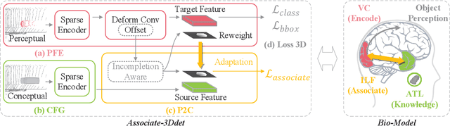 Figure 3 for Associate-3Ddet: Perceptual-to-Conceptual Association for 3D Point Cloud Object Detection