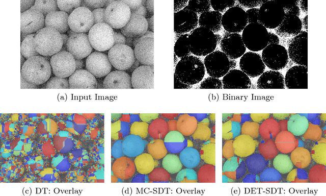 Figure 4 for Stochastic Distance Transform