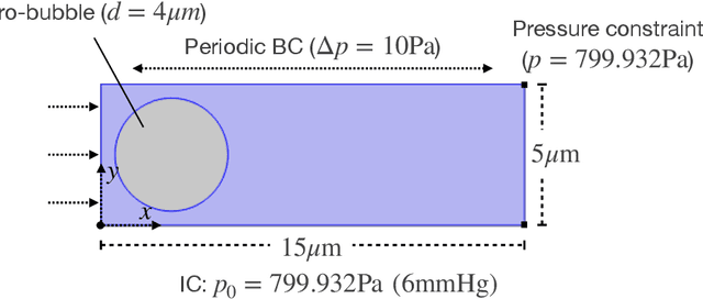 Figure 1 for Inferring micro-bubble dynamics with physics-informed deep learning