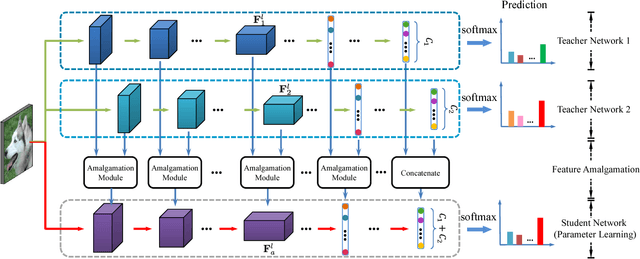Figure 1 for Amalgamating Knowledge towards Comprehensive Classification