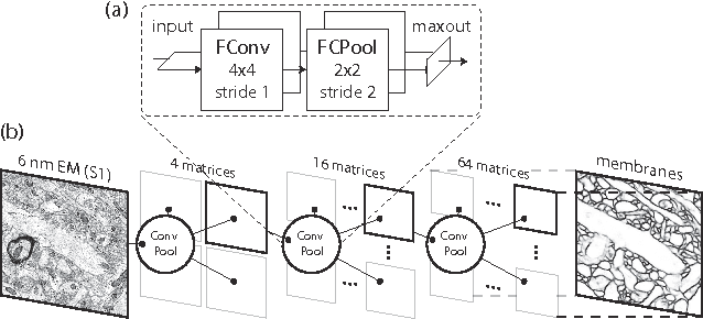 Figure 3 for Toward Streaming Synapse Detection with Compositional ConvNets