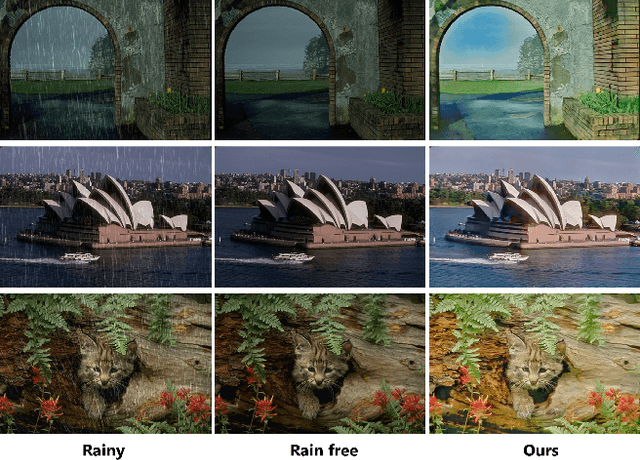 Figure 1 for Rain Removal and Illumination Enhancement Done in One Go