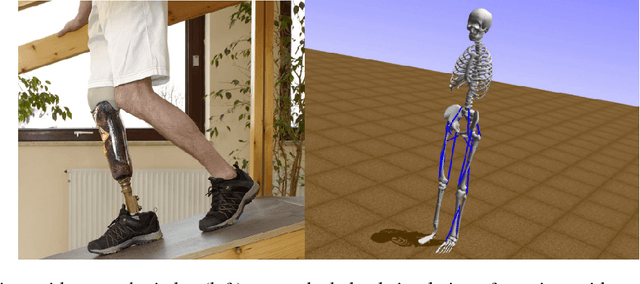 Figure 1 for Artificial Intelligence for Prosthetics - challenge solutions