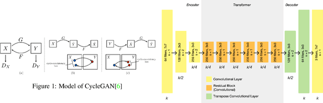 Figure 1 for GANiry: Bald-to-Hairy Translation Using CycleGAN