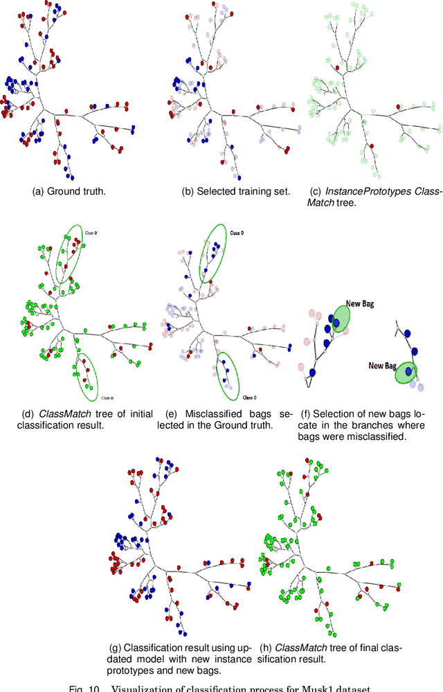 Figure 2 for A Visual Mining Approach to Improved Multiple-Instance Learning