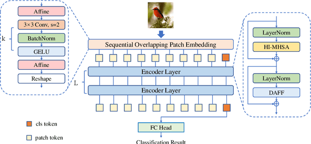 Figure 1 for Bridging the Gap Between Vision Transformers and Convolutional Neural Networks on Small Datasets