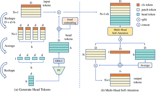 Figure 4 for Bridging the Gap Between Vision Transformers and Convolutional Neural Networks on Small Datasets